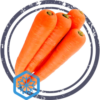 Криопорошок моркови