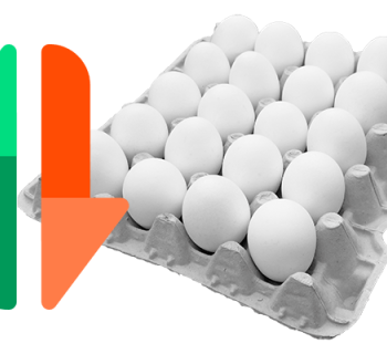 Работать над стабилизацией цен на яйца начало Правительство РФ