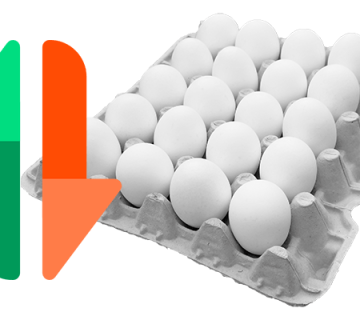 Работать над стабилизацией цен на яйца начало Правительство РФ