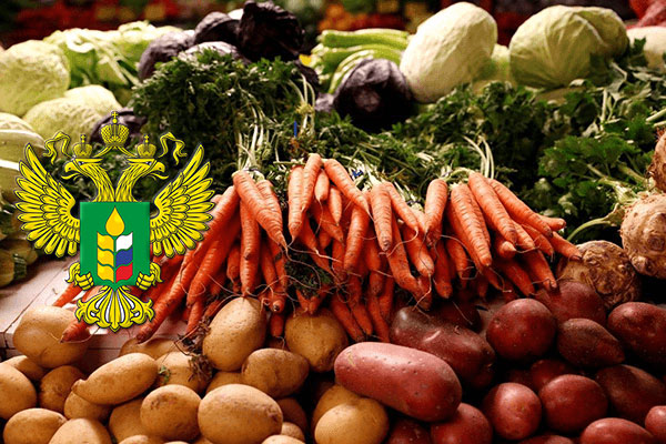 Цены на овощи «борщевого набора» будут снижаться до конца сентября