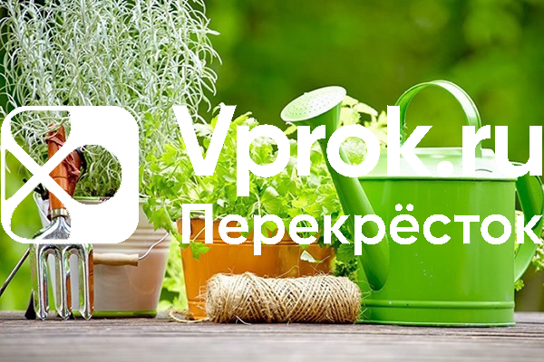 Спрос на семена растений и товары для сада вырос, - «Vprok.ru Перекресток»