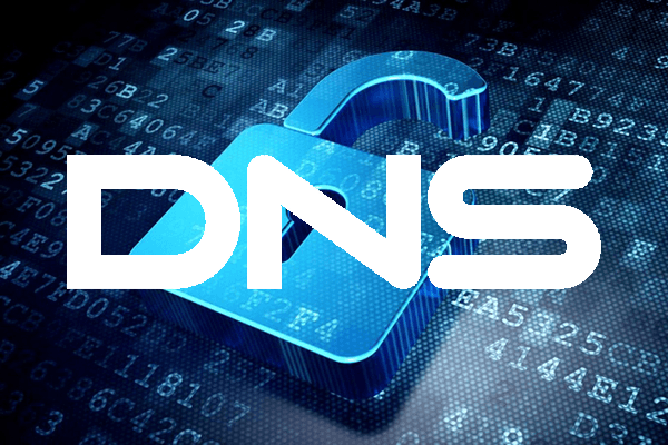 Роскомнадзор проверит сеть DNS по факту утечки данных клиентов и сотрудников
