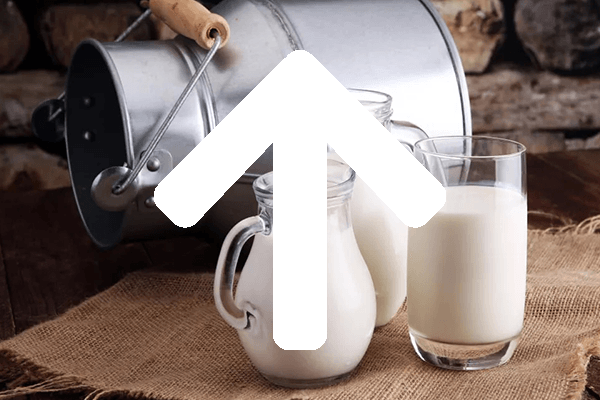 Реализация молока на молочных предприятиях России выросла на 6%
