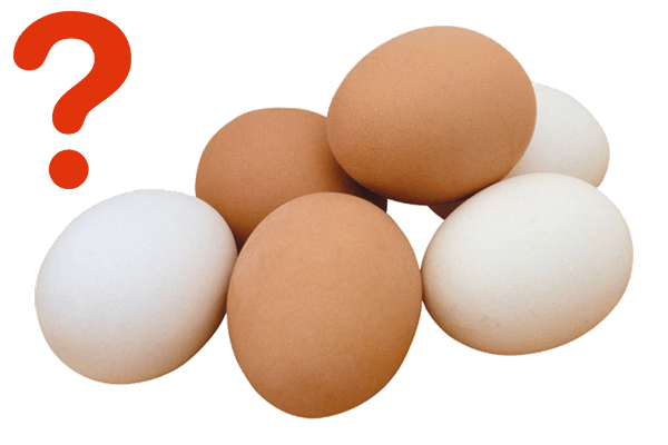 В России ожидается подорожание яиц и мяса птицы