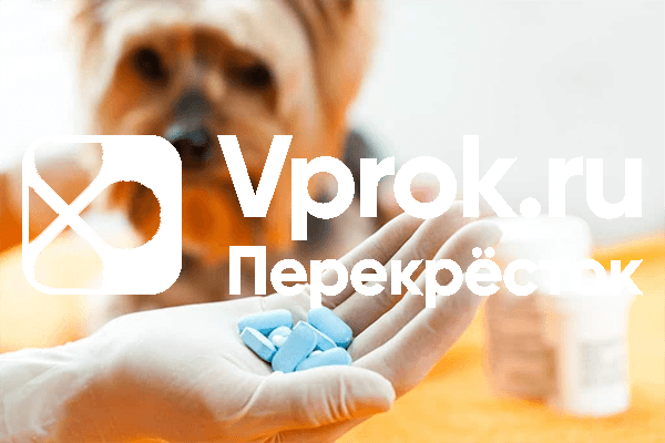 Ветеринарную онлайн-аптеку запустил «Vprok.ru Перекресток»