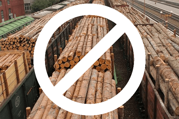 Утверждены заградительные пошлины на вывоз грубо обработанной древесины