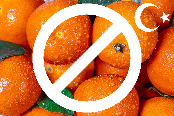 Роспотребнадзор запретил ввозить в Россию турецкие мандарины
