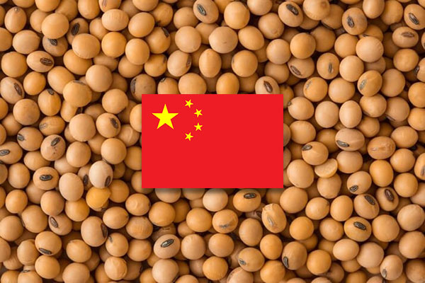 Китай в 1,5 раза сократил объемы импорта американской сои в 2024 году
