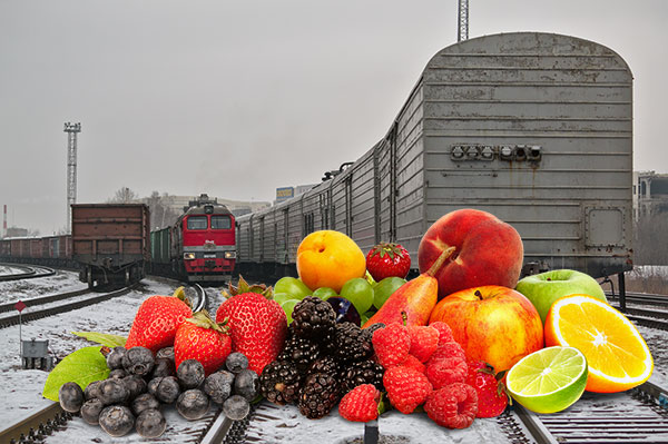 Доставку импортных фруктов в Москву начал «Магнит»