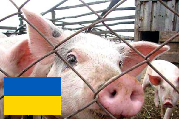 Транзит по РФ скота и птицы с Украины запрещен Россельхознадзором